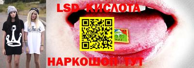метамфетамин Заводоуковск
