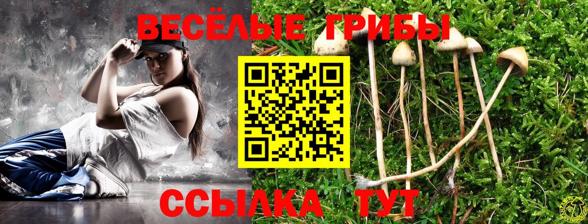 Мценск  Галлюциногенные грибы Psilocybine cubensis  Псилоцибиновые грибы Psilocybe  Вход с VPN 